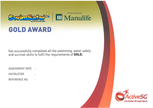 SwimSafer Image